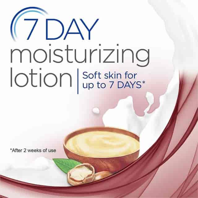 DIA12260 Product Image 10