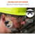 EGO55004 Image Thumbnail 10