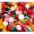 OFX00616 Image Thumbnail 2