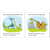 SHS1338668056 Image Thumbnail 32