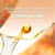 RAC95499 Image Thumbnail 3