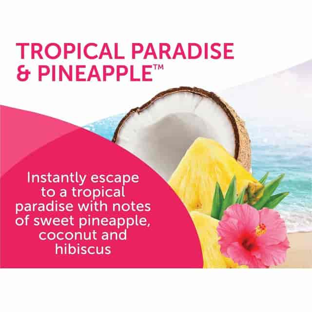 BRI901076 Product Image 6