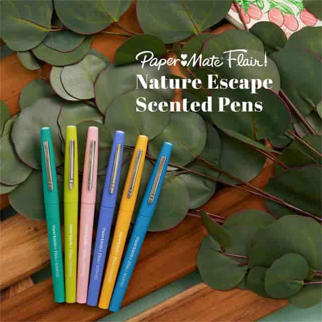 PAP2178578 Product Image 2