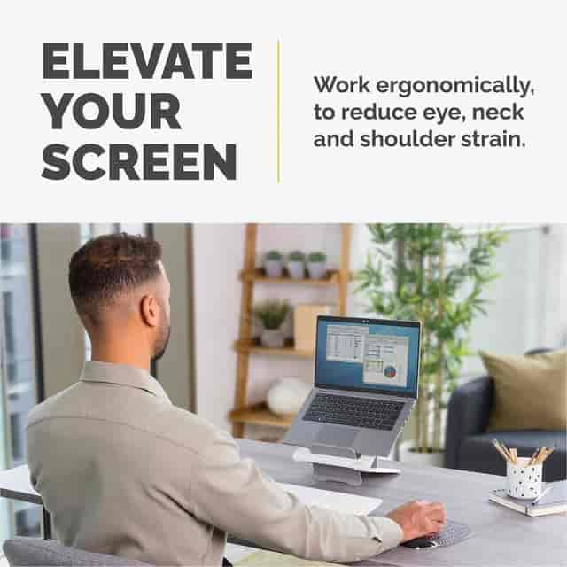 FEL100098501 Product Image 2