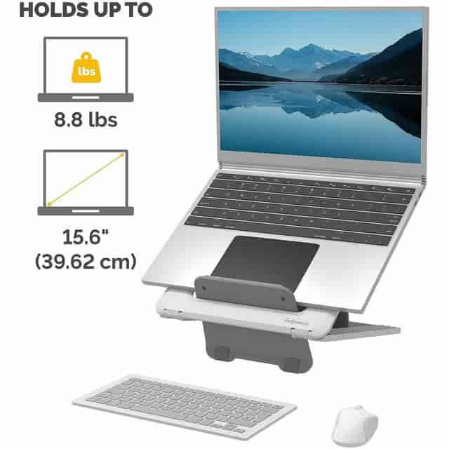 FEL100098501 Product Image 3