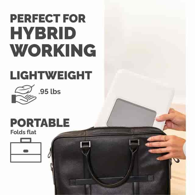FEL100098501 Product Image 4