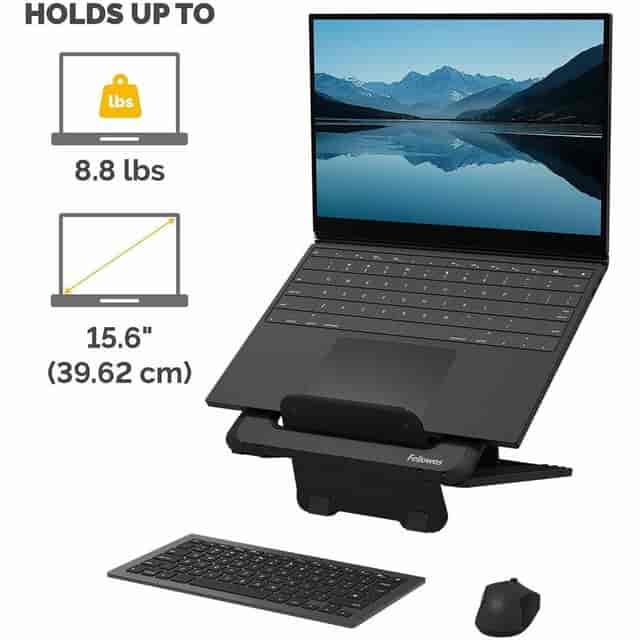 FEL100098500 Product Image 3