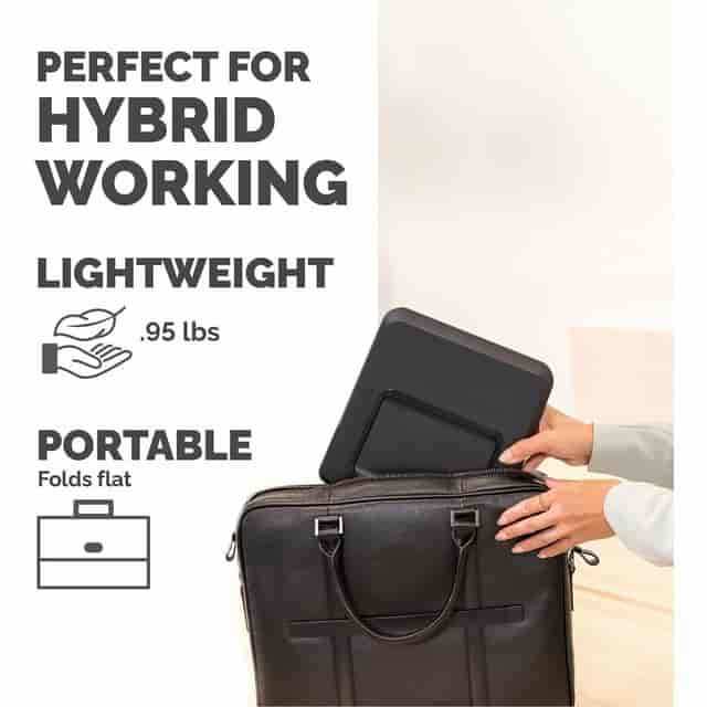 FEL100098500 Product Image 4