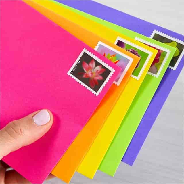 WAU92109 Product Image 2