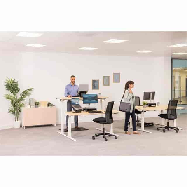 FEL100098502 Product Image 26
