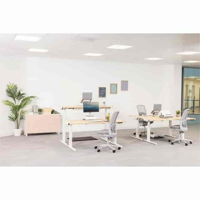 FEL100098502 Product Image 27