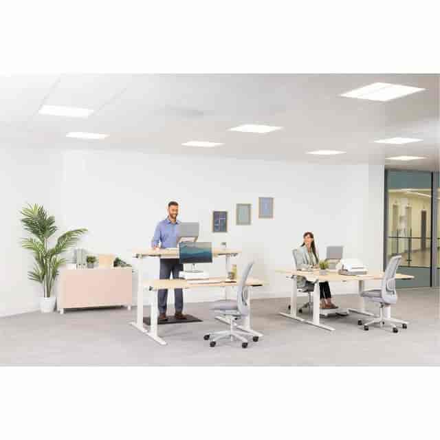 FEL100098502 Product Image 28