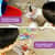 LRNLER5511 Image Thumbnail 15