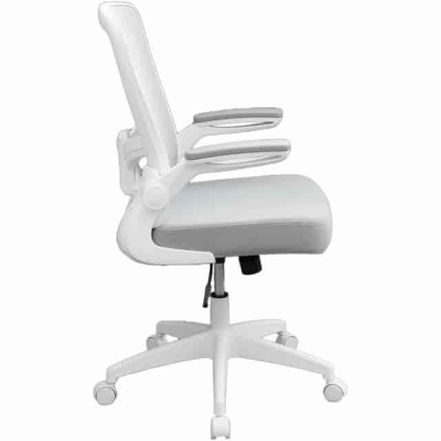 BOP6366WTGY Product Image 4