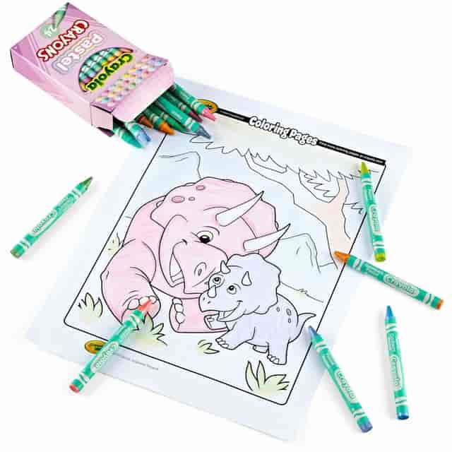 CYO521835 Product Image 9