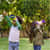 LRN5260 Image Thumbnail 6