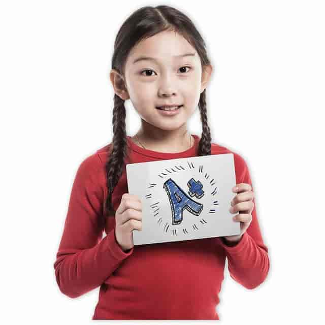 FLP10156 Product Image 4