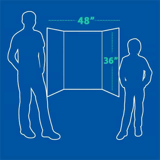 FLP3004810 Product Image 10