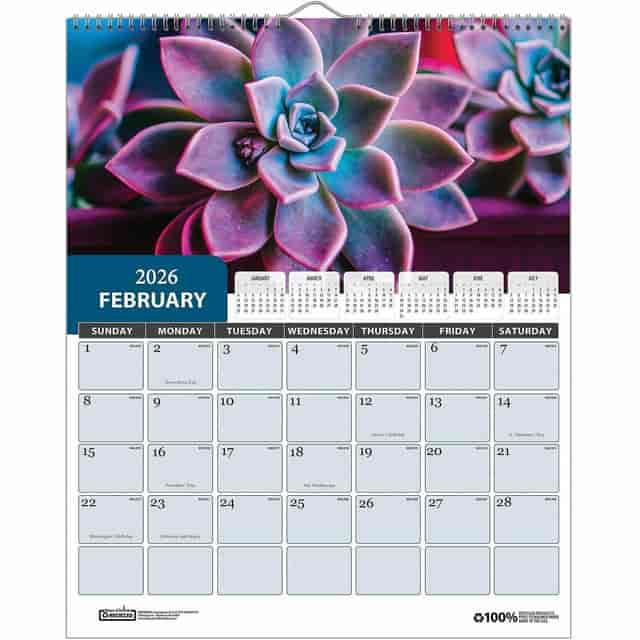 HOD317 Product Image 2