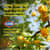 CLO79316 Image Thumbnail 7