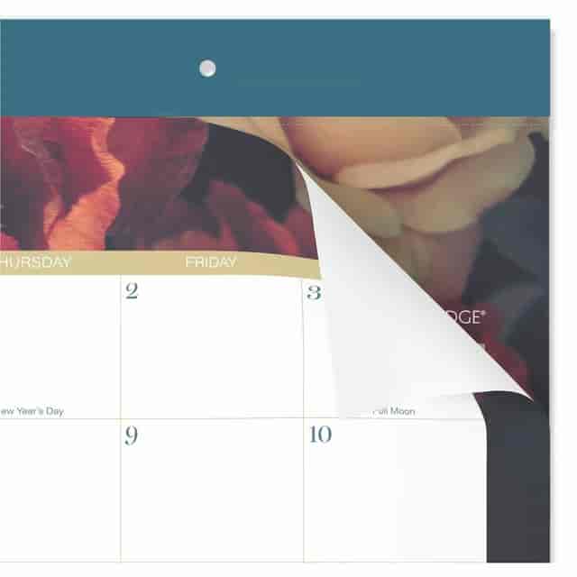 AAG1768704 Product Image 4