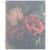 AAG1768905 Image Thumbnail 1