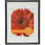 VLUVF0023B1114 Image Thumbnail 1
