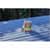 FLXLFSCLRR32 Image Thumbnail 8