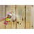 FLXFSCL20 Image Thumbnail 4