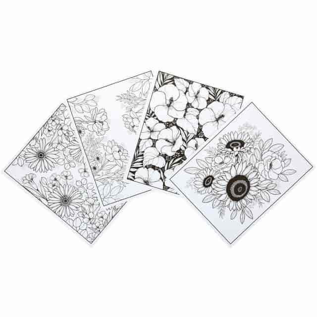 CYO041082 Product Image 4