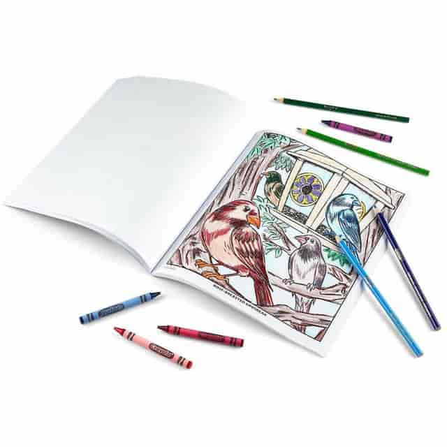 CYO041133 Product Image 6