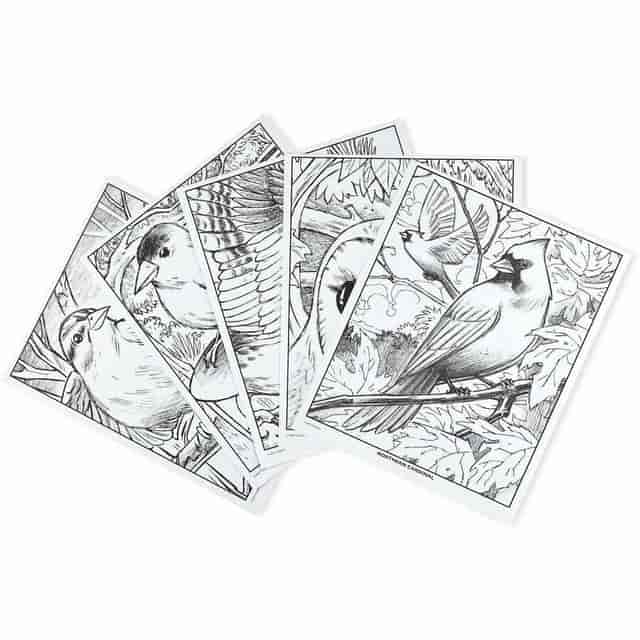 CYO041133 Product Image 5
