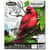 CYO041133 Image Thumbnail 2