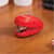SWI48212 Image Thumbnail 4