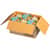 GRR20902549 Image Thumbnail 2