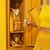 CHSLCTOTJ24 Image Thumbnail 11
