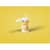 GJO45500 Image Thumbnail 9