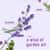 PGC19926 Image Thumbnail 4