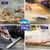 PGC26520 Image Thumbnail 9