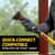 RCP2221947 Image Thumbnail 3