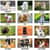 AAGDMD16632 Image Thumbnail 2