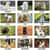 AAGDMW16728 Image Thumbnail 3