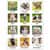 AAGDMW16728 Image Thumbnail 7