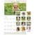 AAGDMW16728 Image Thumbnail 5