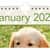 AAGDMW16728 Image Thumbnail 3