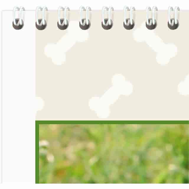AAGDMW16728 Product Image 7