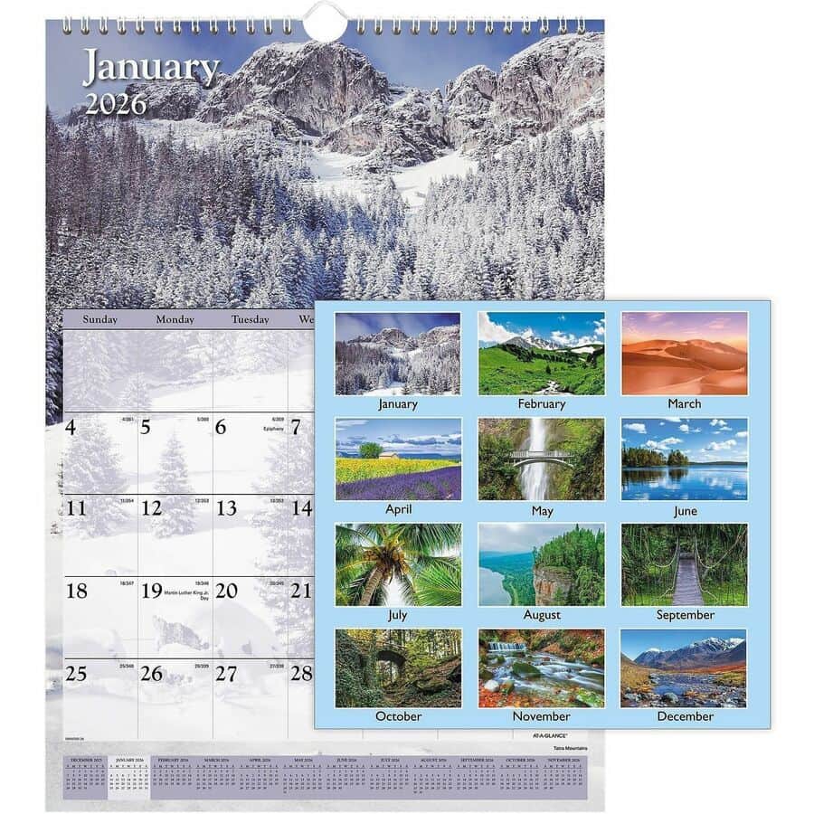 Scenic Wall Calendar by At-A-Glance AAGDMW20028 | OnTimeSupplies.com