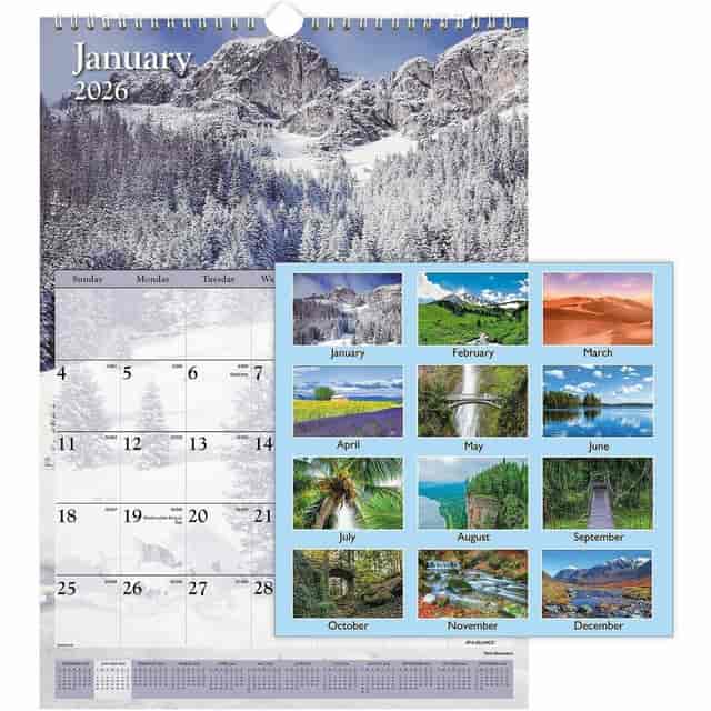 AAGDMW20028 Product Image 6