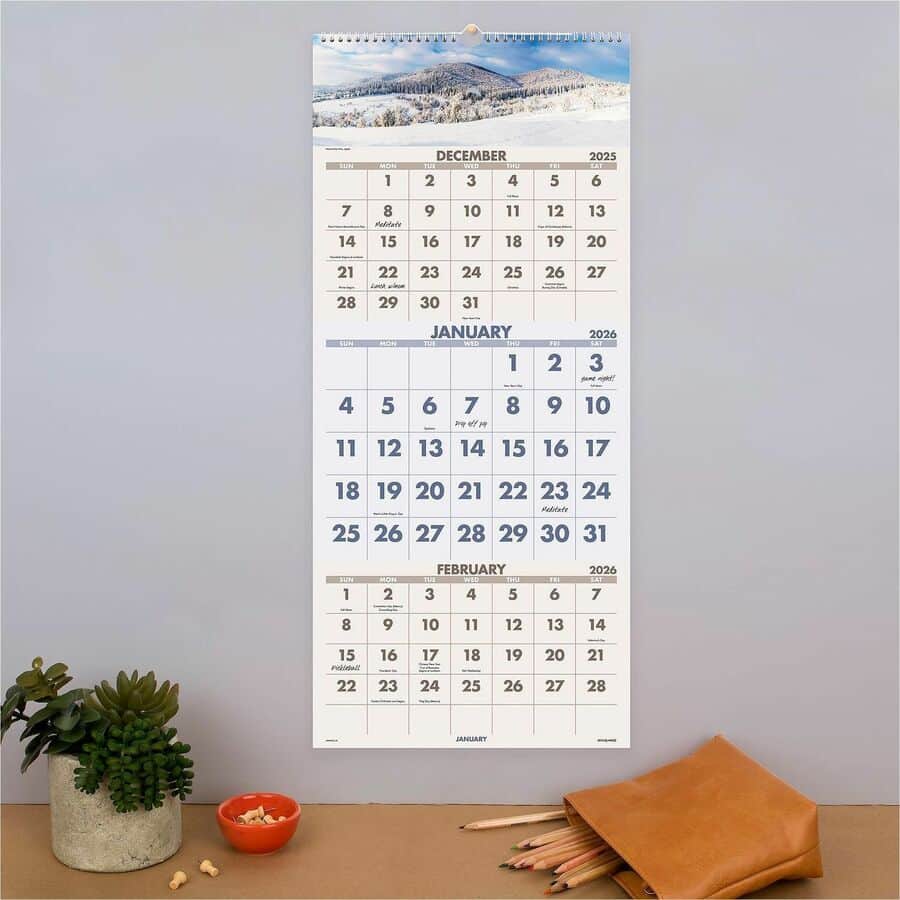 Scenic 3-Month Wall Calendar by At-A-Glance AAGDMW50328