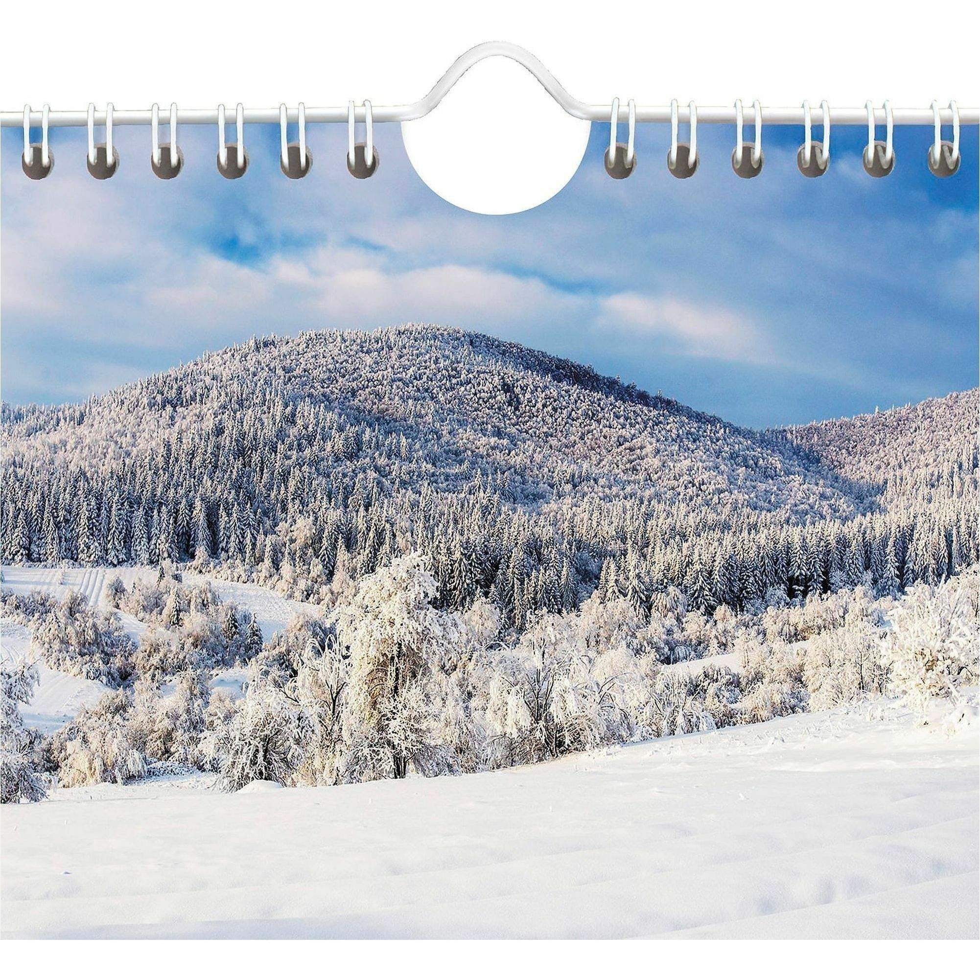 Scenic 3-Month Wall Calendar by At-A-Glance AAGDMW50328